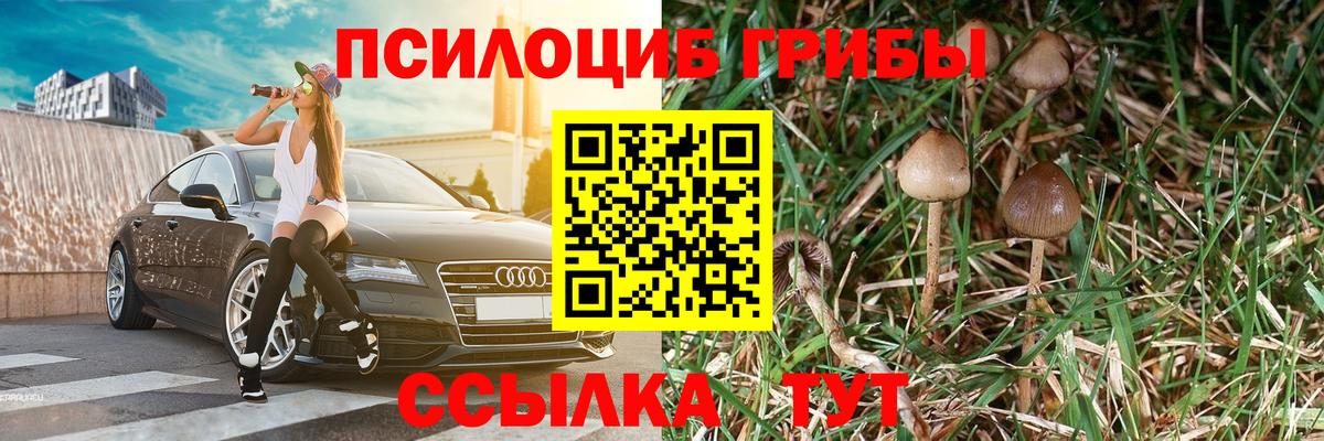 Кашира  Галлюциногенные грибы Magic Shrooms  наркотики  Вход с VPN 