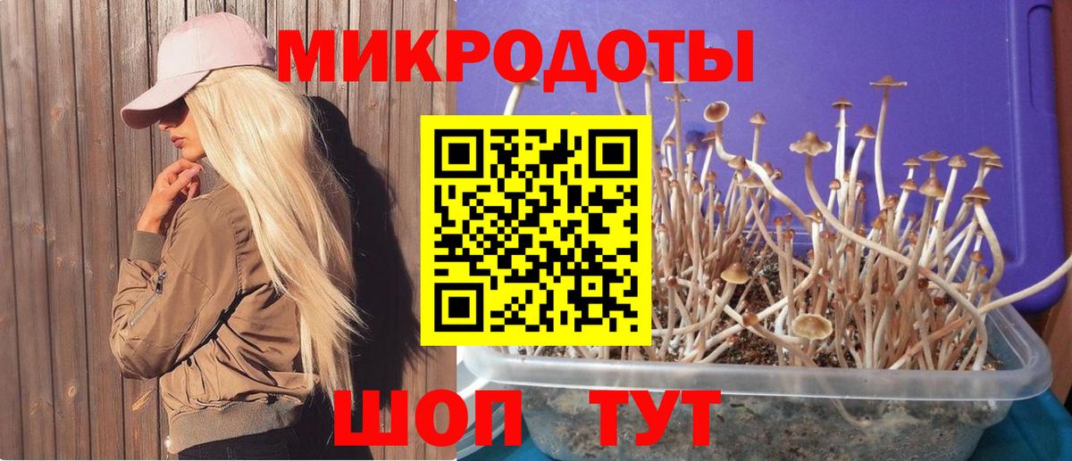 Псилоцибиновые грибы мухоморы Кашира